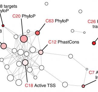Devlin and Colleagues Science 2018